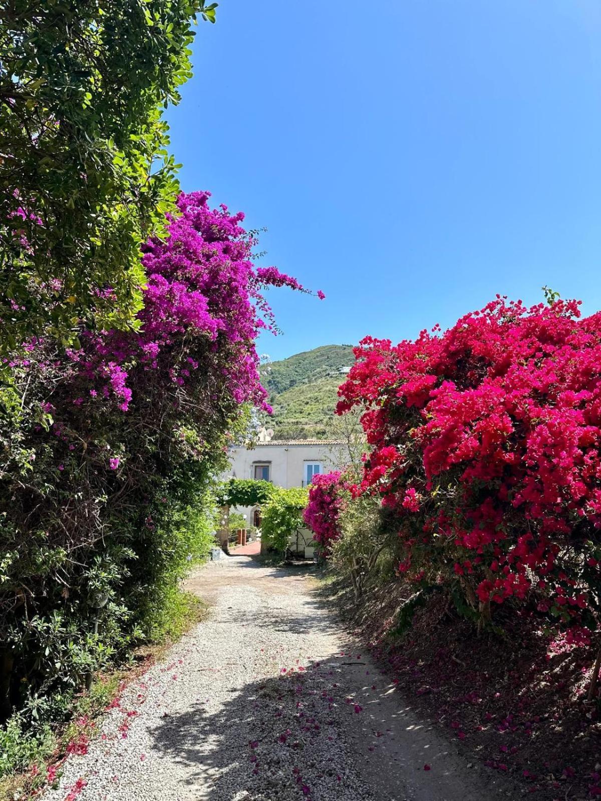 Villa Tiche Cefalu Exterior photo